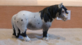 /album/fotogalerij-onze-paarden/schermafbeelding-2013-03-14-om-16-10-19-png/